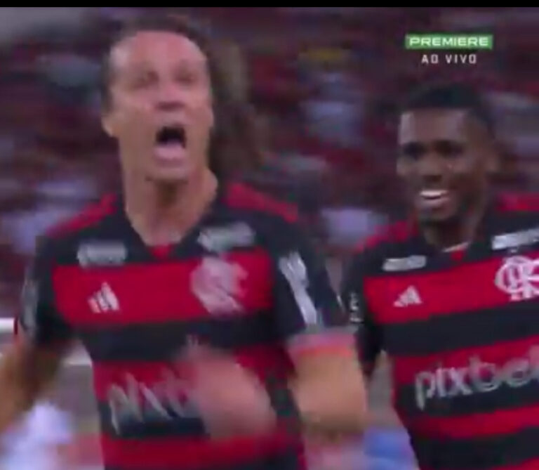 Flamengo O Novo L Der Do Brasileir O Jornal Pequeno