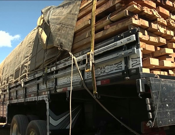 Quantidade de madeira transportada no caminhão não constava na nota fiscal (Foto: Reprodução)