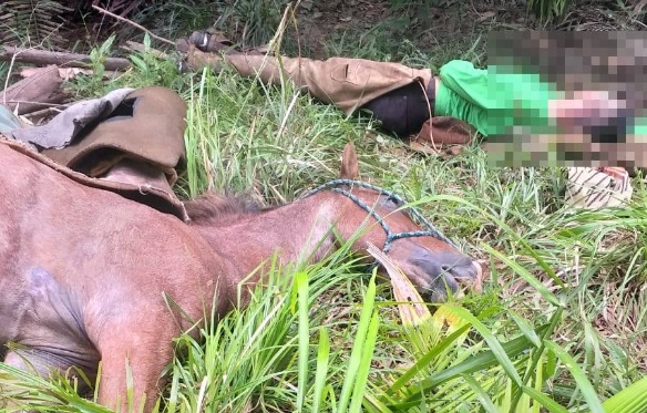 Peão de 50 anos morre esmagado por cavalo no Pantanal - JD1 Notícias